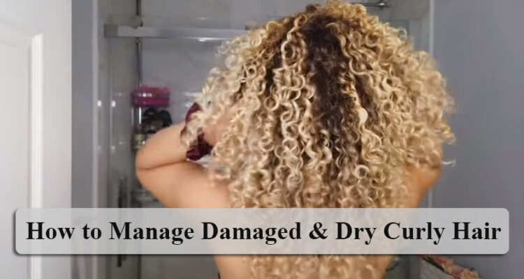 How to Manage Damaged & Dry Curly Hair