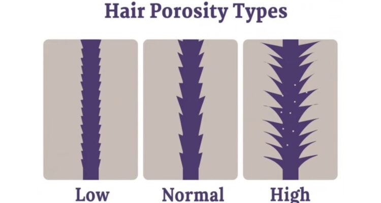Ultimate Guide To Medium Porosity Hair