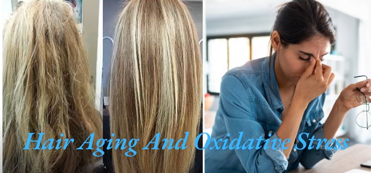 Hair Aging And Oxidative Stress